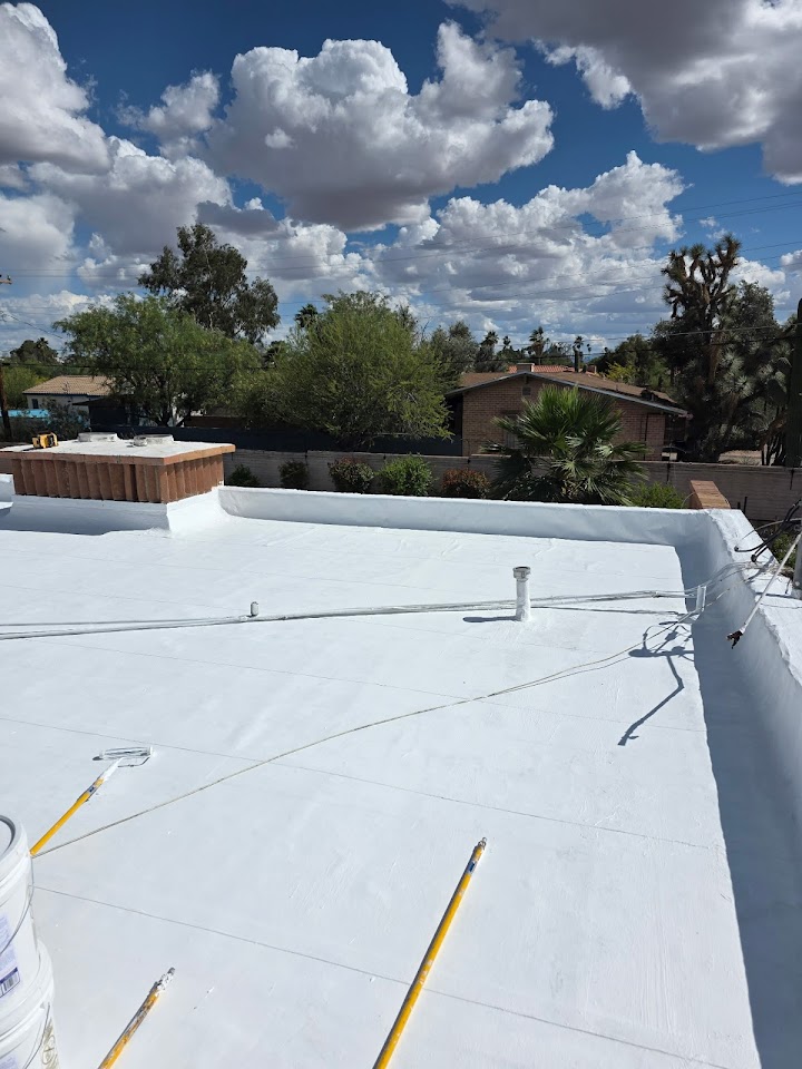 1 By 1 Roof & Solar project